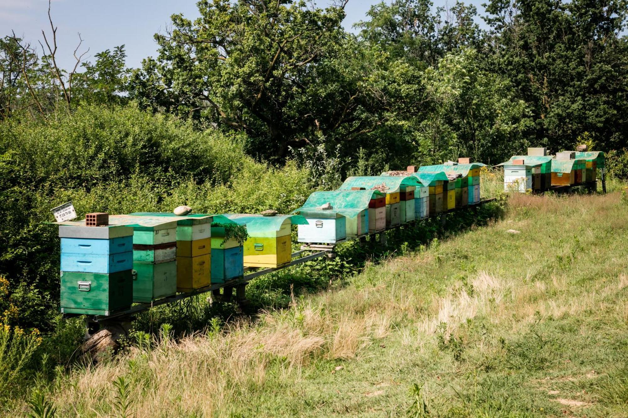 Agriturismo Parco Campofelice Lombardore Eksteriør billede